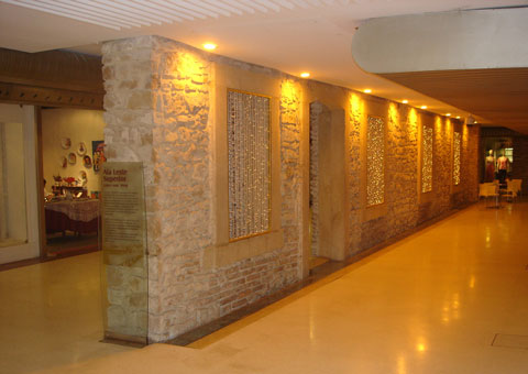 DSC00001 1