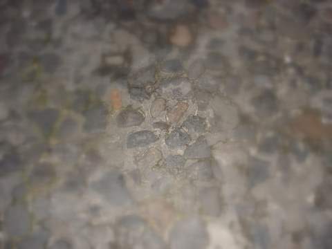 DSC00024