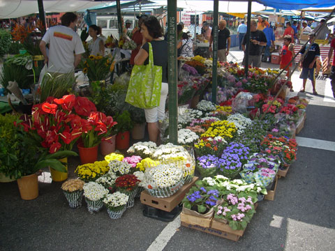 Feira 1