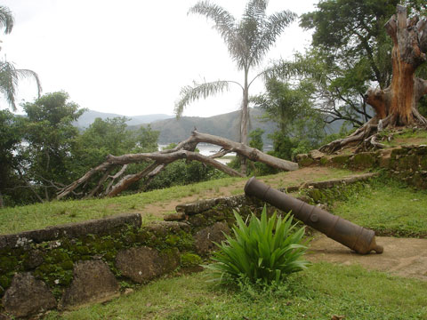 Forte Defensor Perpetuo