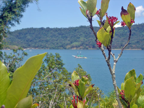 Kontiki Vista Barco