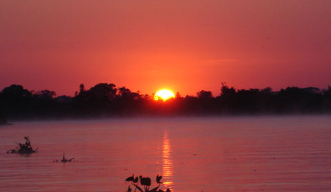 Sesc Pantanal 057