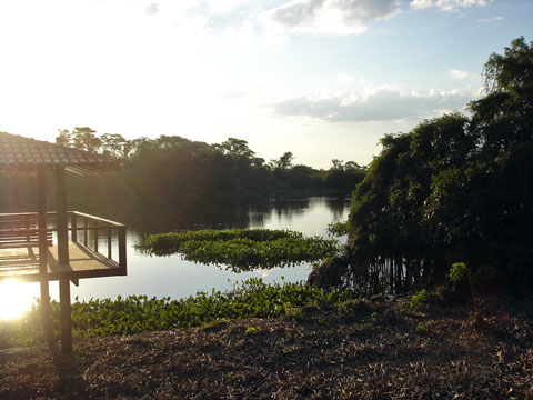 Sesc Pantanal 139