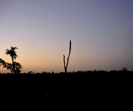 Sesc Pantanal 190