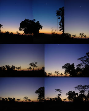 Untitled 2