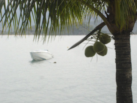Vista Kontiki