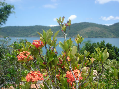 Vista Kontiki 3