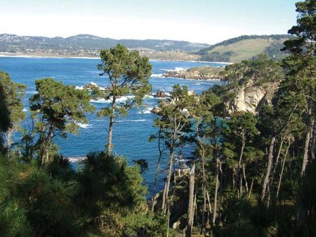 carmel