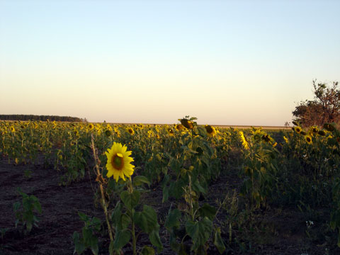 foto 018