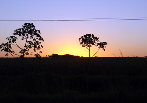 foto 024