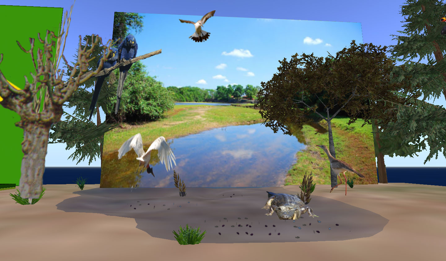 pantanal